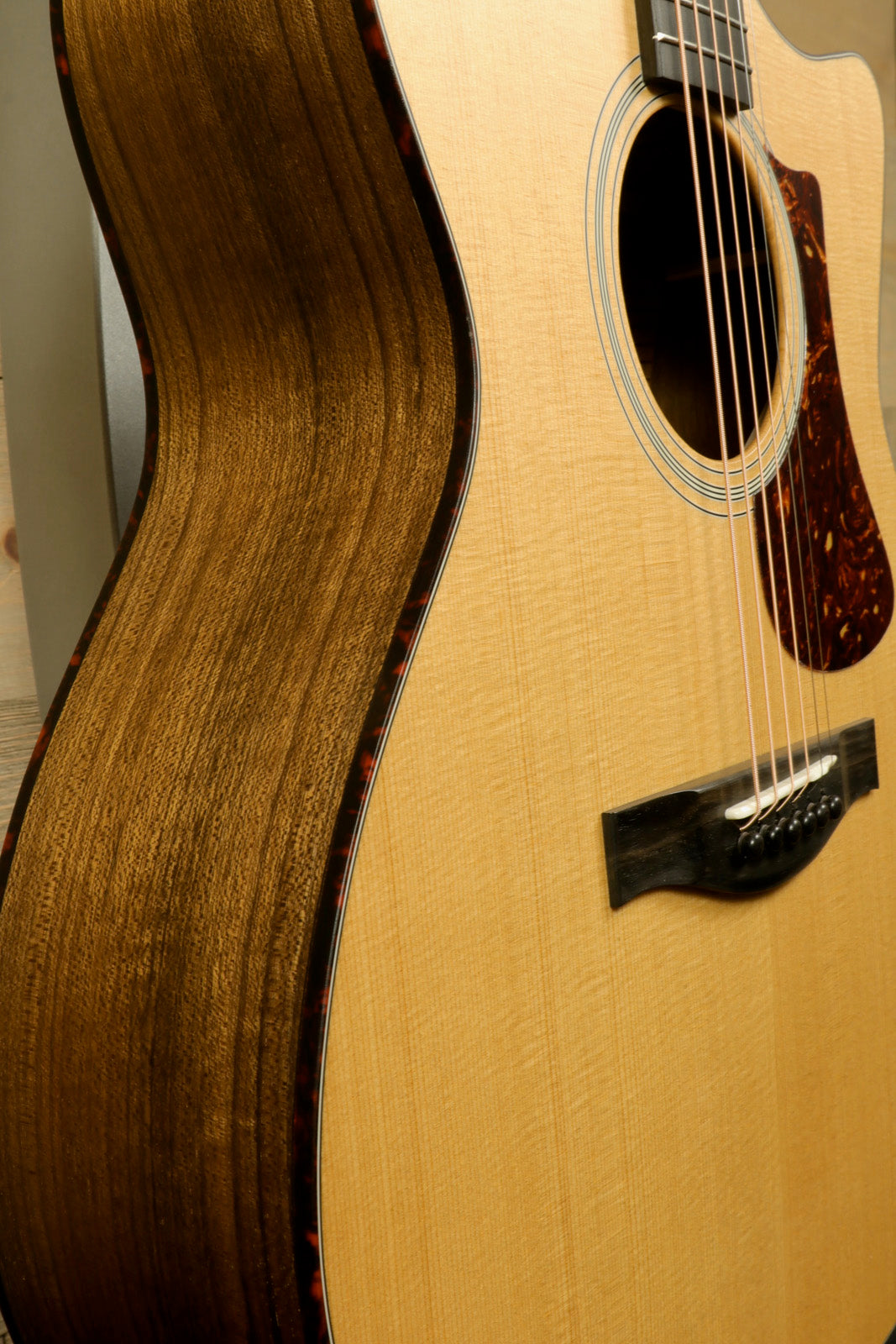 Eastman AC222CE Eastman
