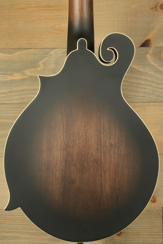 Gold Tone F-6 Mando-Guitar