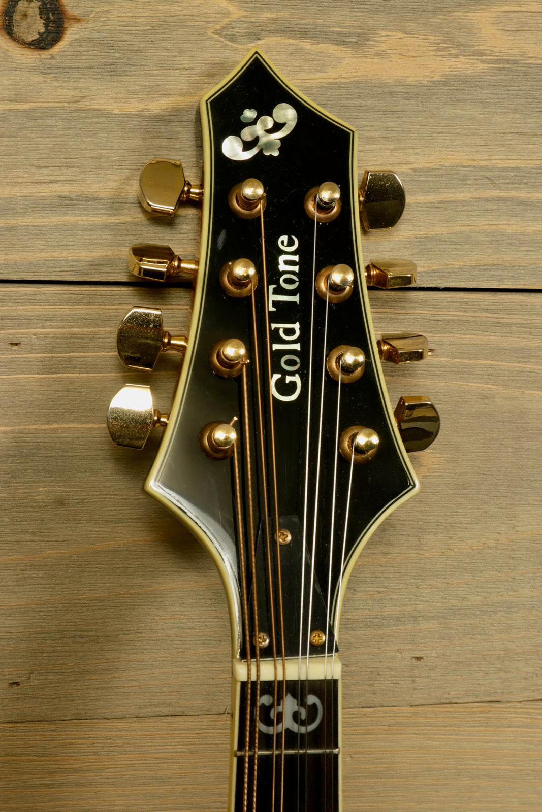 Gold Tone Rigel Mandolin with Goldtone Gig Bag (USED)