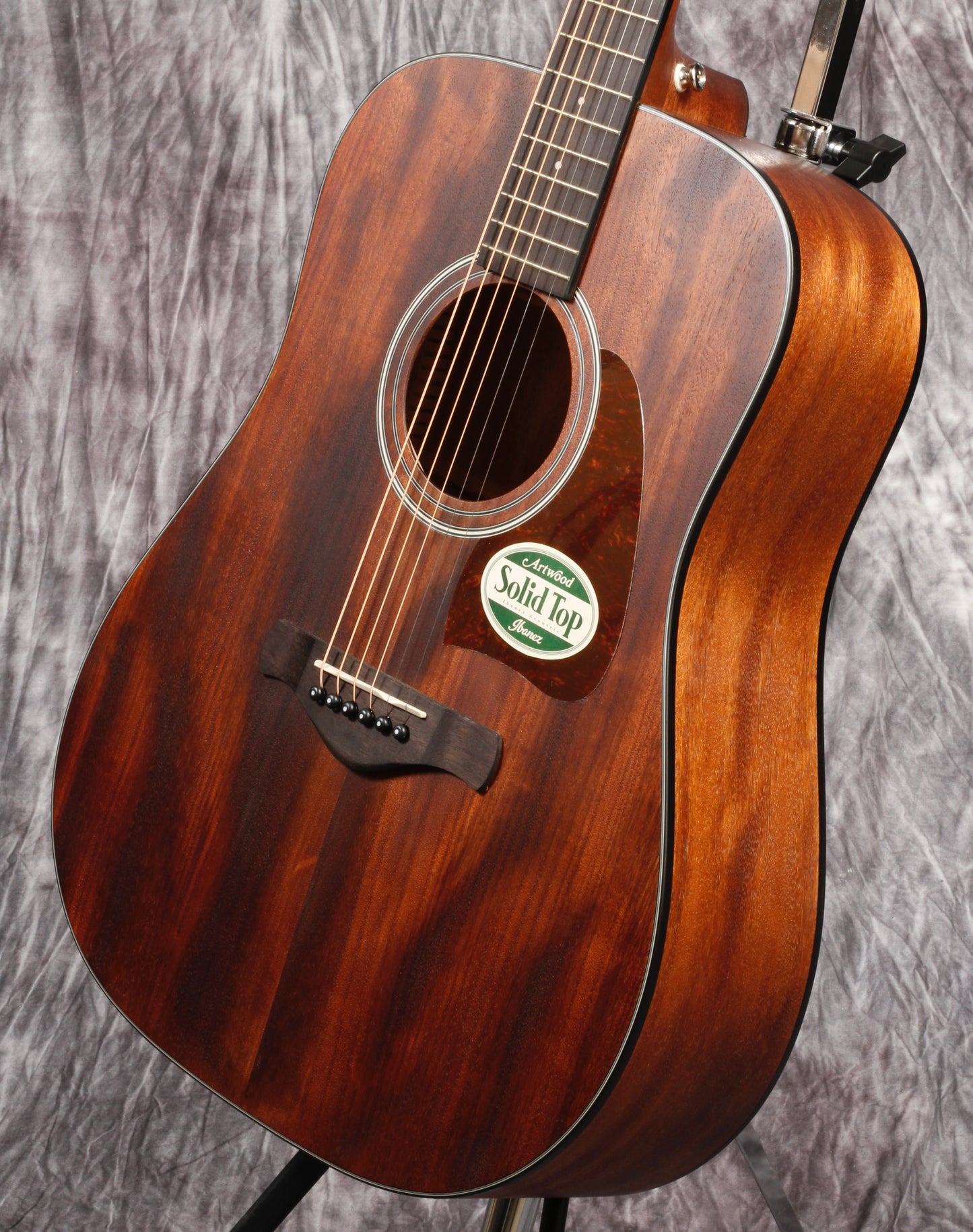 Ibanez Artwood Series ACS Guitar.
