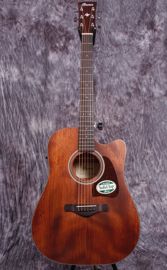Ibanez Artwood Series ACS Electric/Acoustic Guitar.