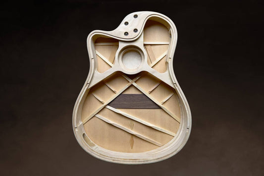 LR Baggs: The Game Changer in Acoustic Sound Reproduction