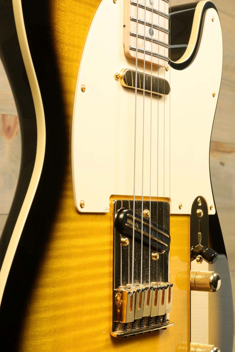 Fender MIJ Richie Kotzen Telecaster with Fender FE1225 Gig Bag (USED)
