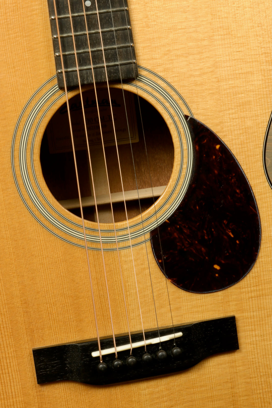 Eastman E10OM-TC