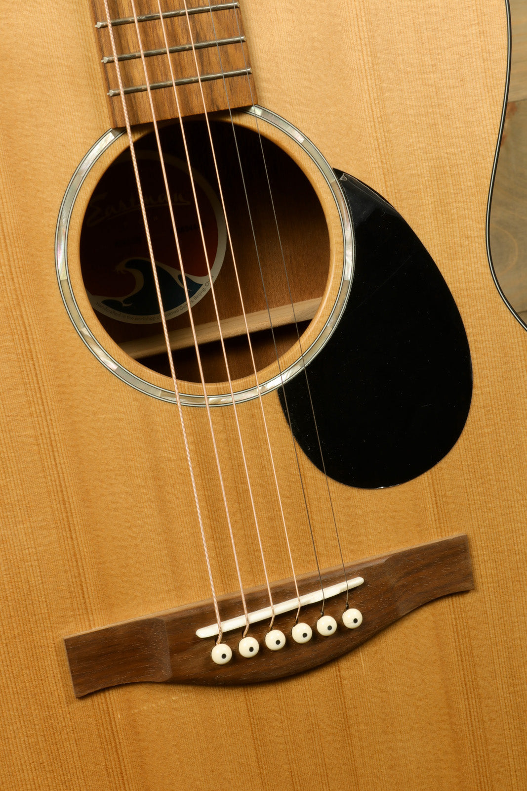 Eastman PCH1-OM Eastman