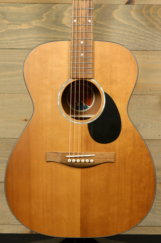 Eastman PCH1-OM