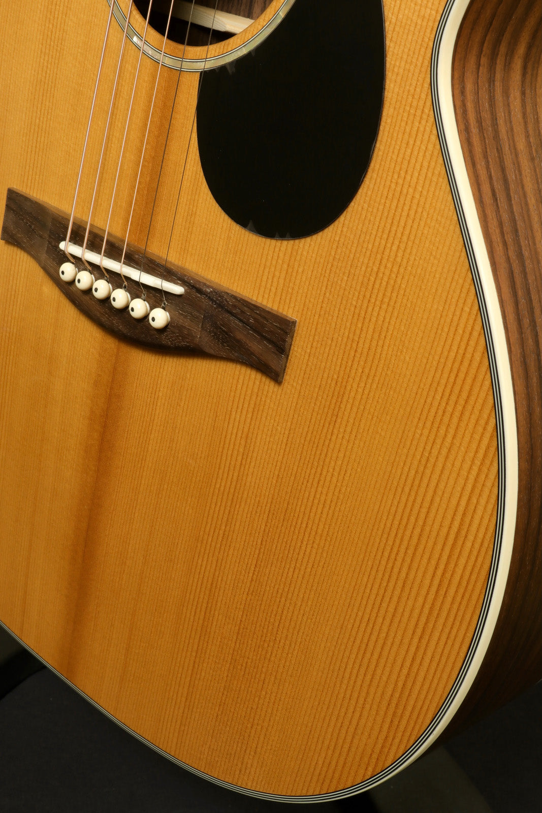 Eastman PCH2-OM Eastman