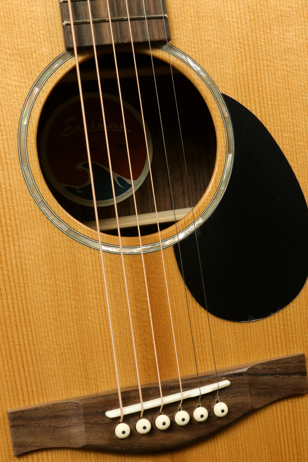 Eastman PCH2-OM Eastman