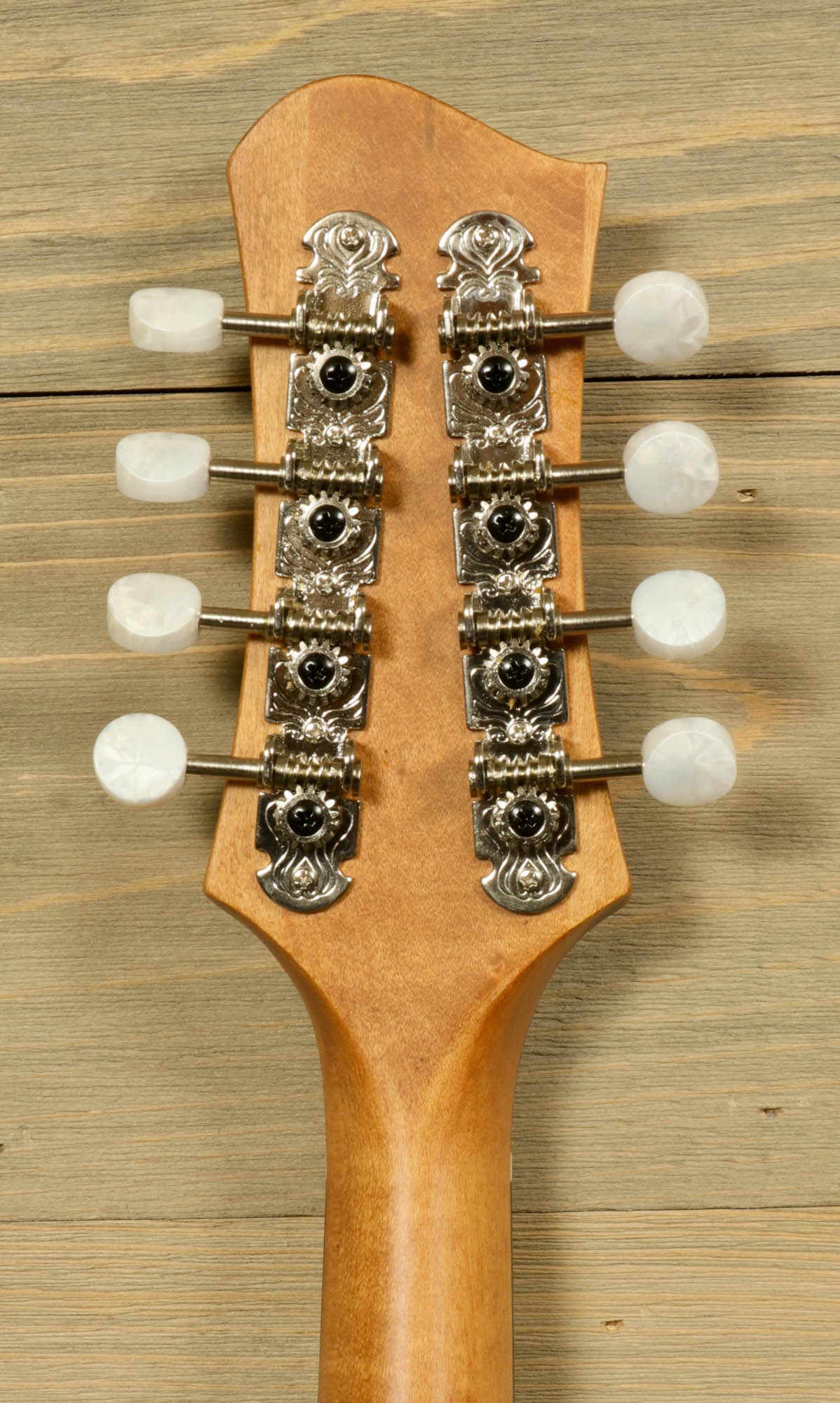 Eastman PCH-M104