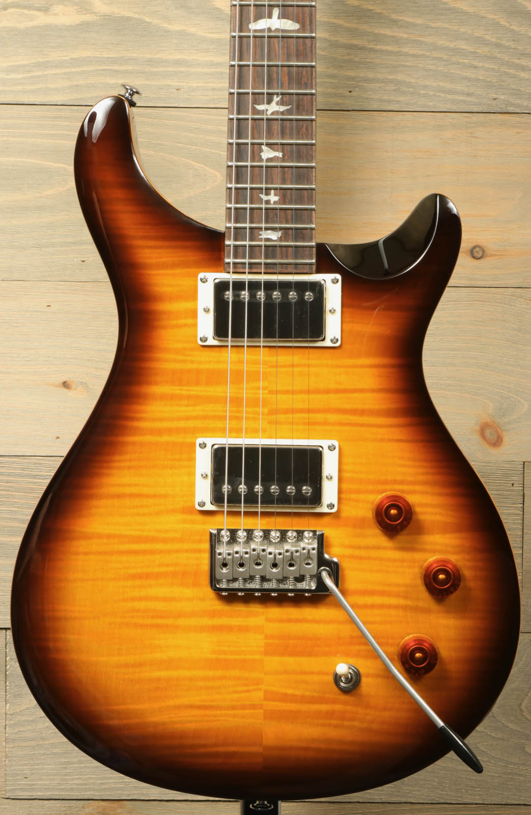 Paul Reed Smith SE DGT [BIRDS]