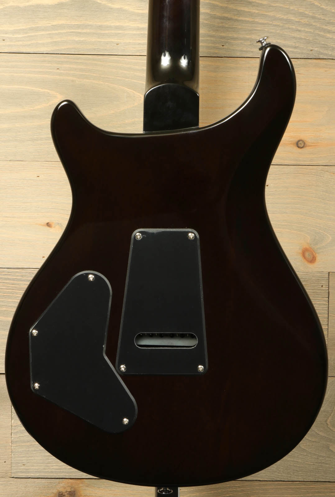 Paul Reed Smith SE DGT [BIRDS]