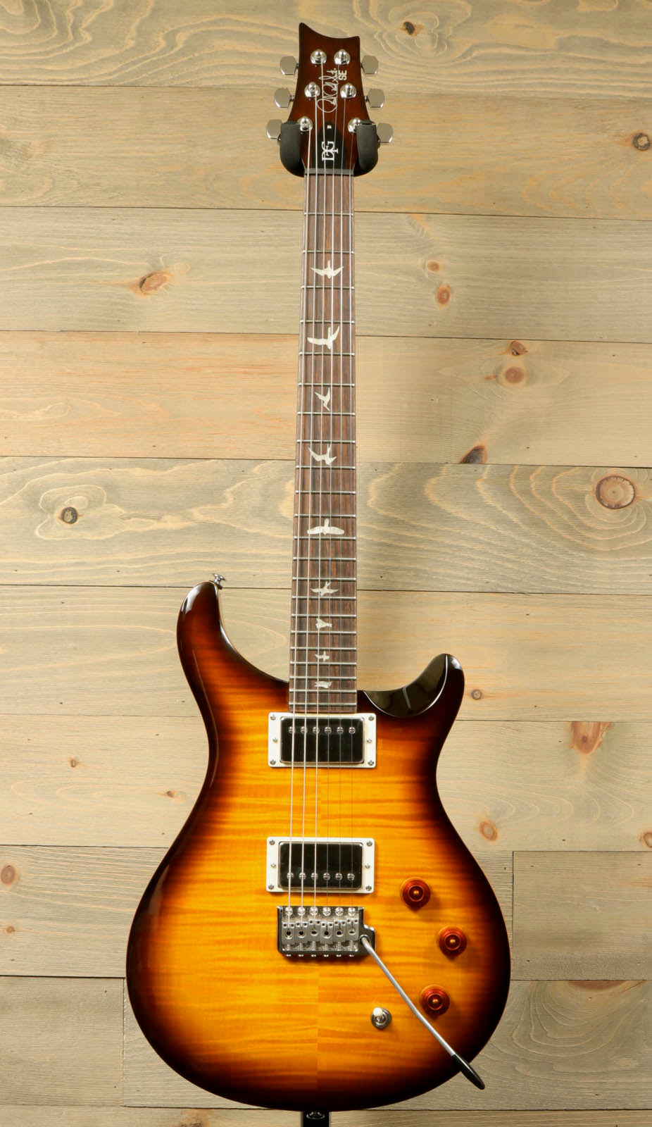 Paul Reed Smith SE DGT [BIRDS]