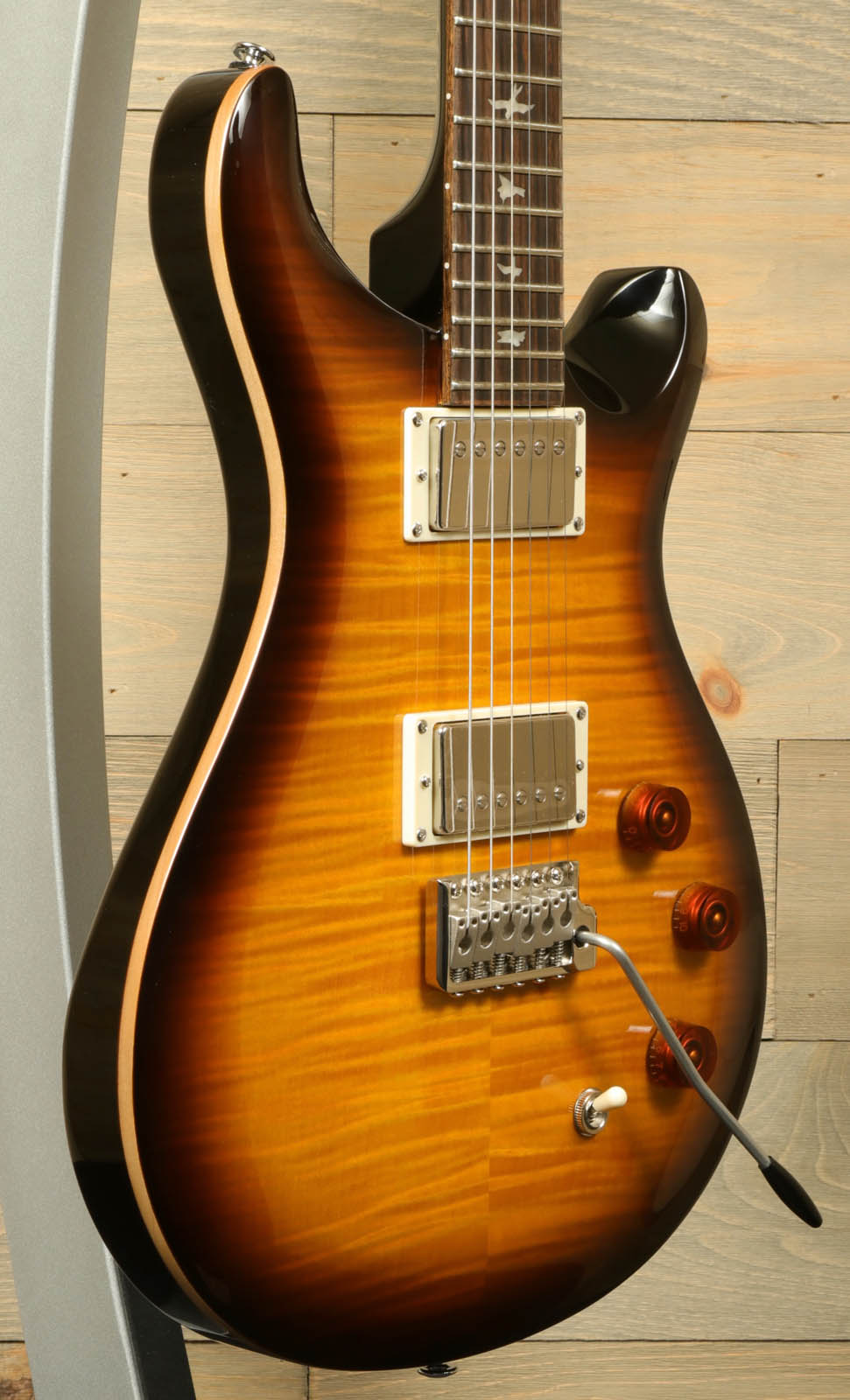 Paul Reed Smith SE DGT [BIRDS]