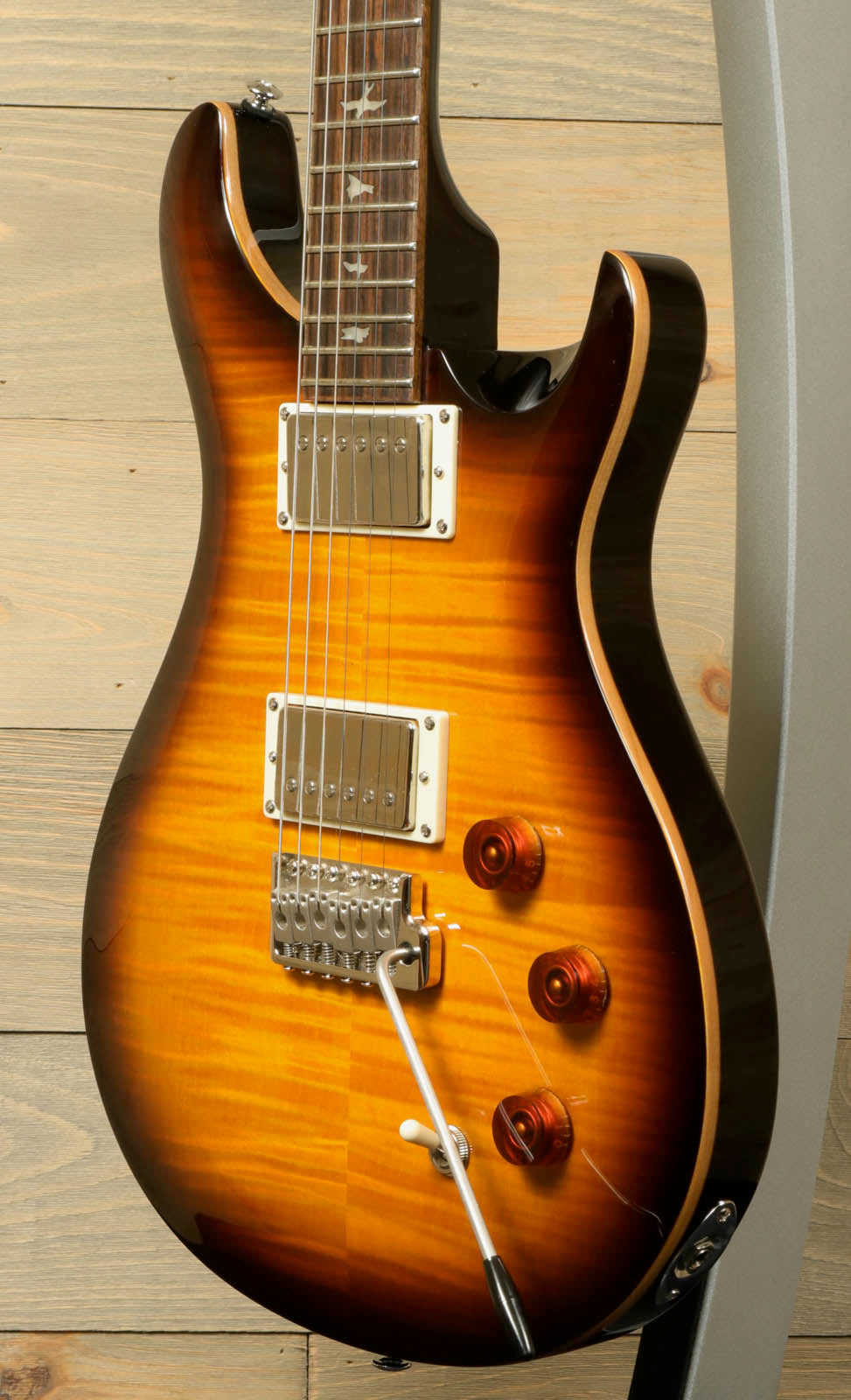 Paul Reed Smith SE DGT [BIRDS]