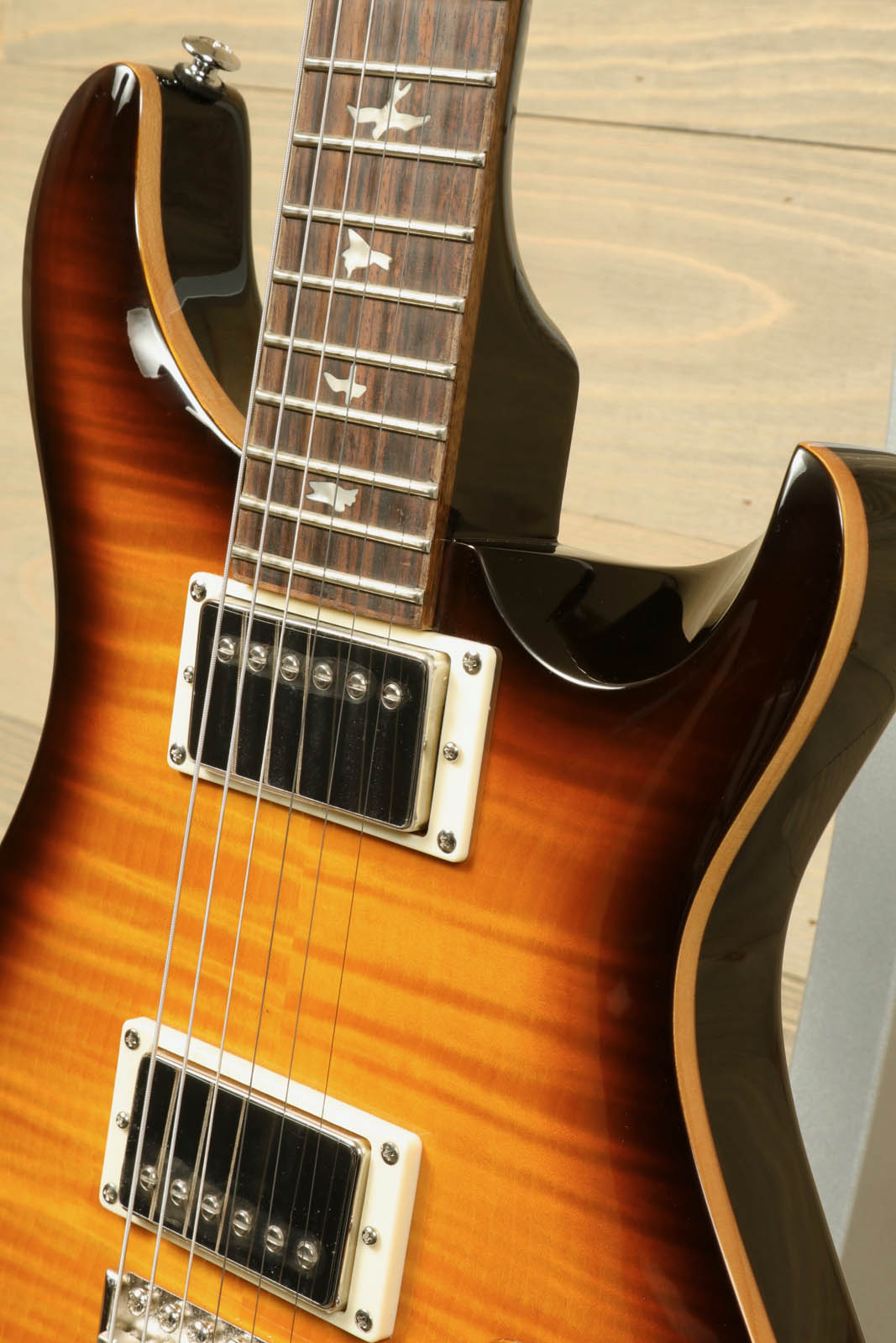 Paul Reed Smith SE DGT [BIRDS]