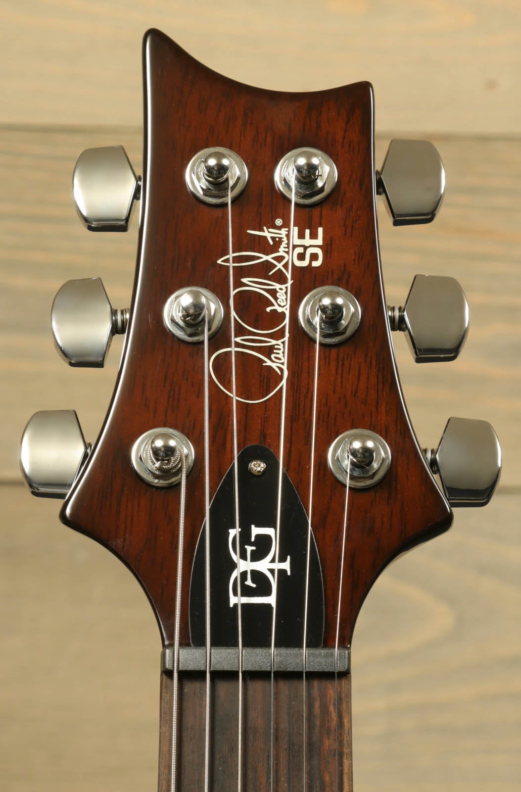 Paul Reed Smith SE DGT [BIRDS]