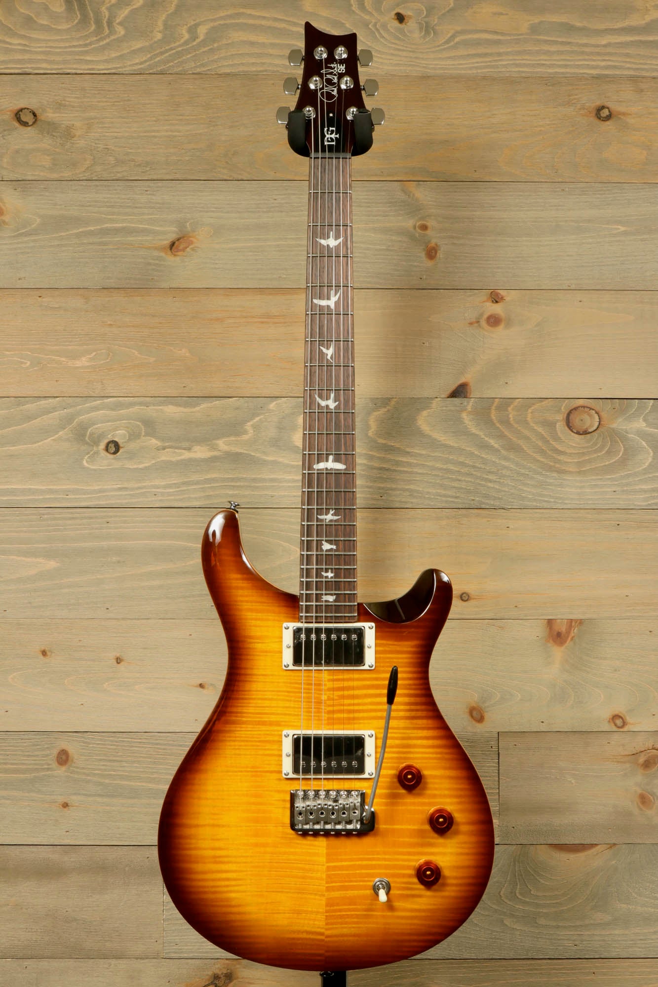 PRS SE DGT [BIRDS]