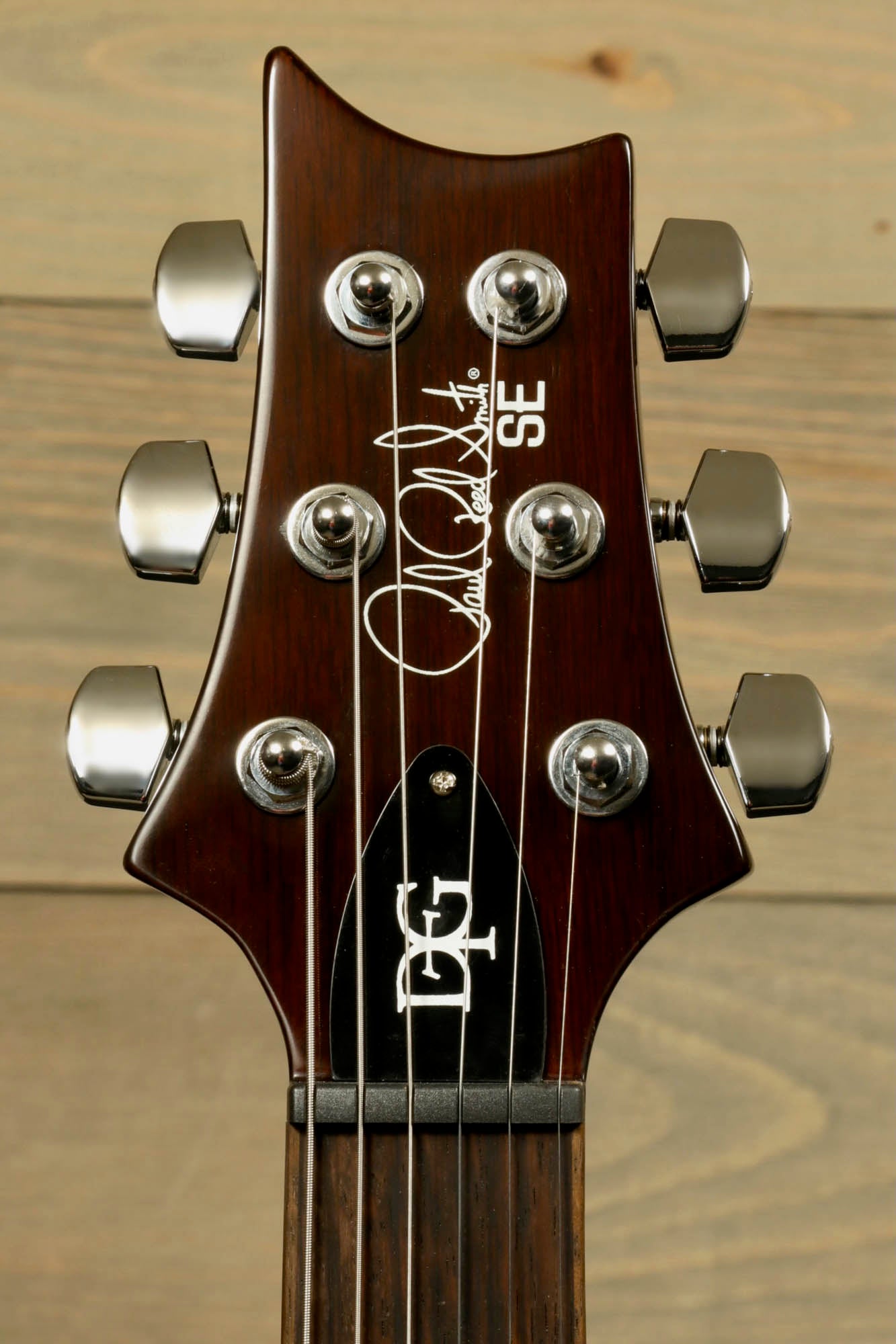 PRS SE DGT [BIRDS]