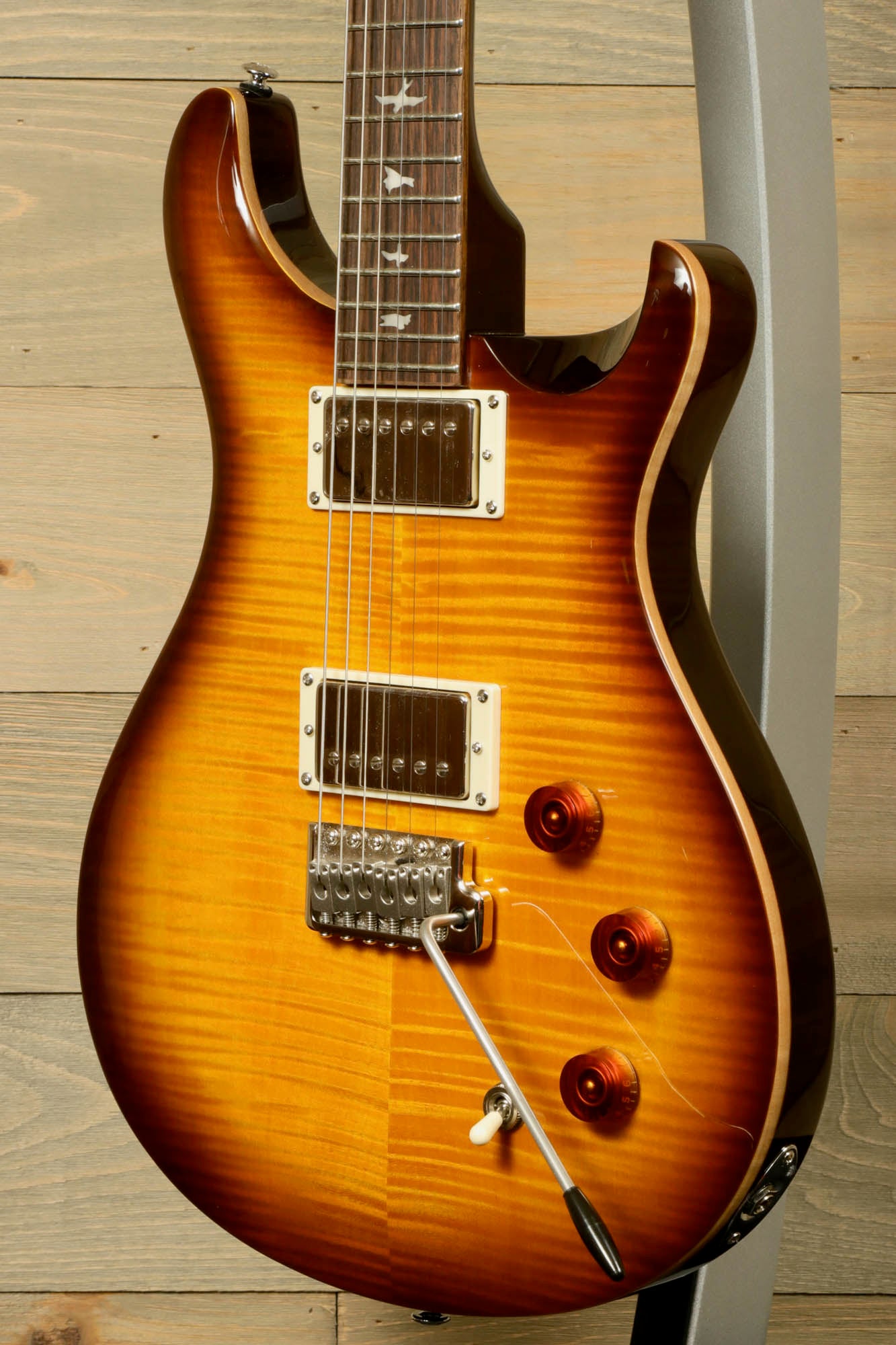 PRS SE DGT [BIRDS]