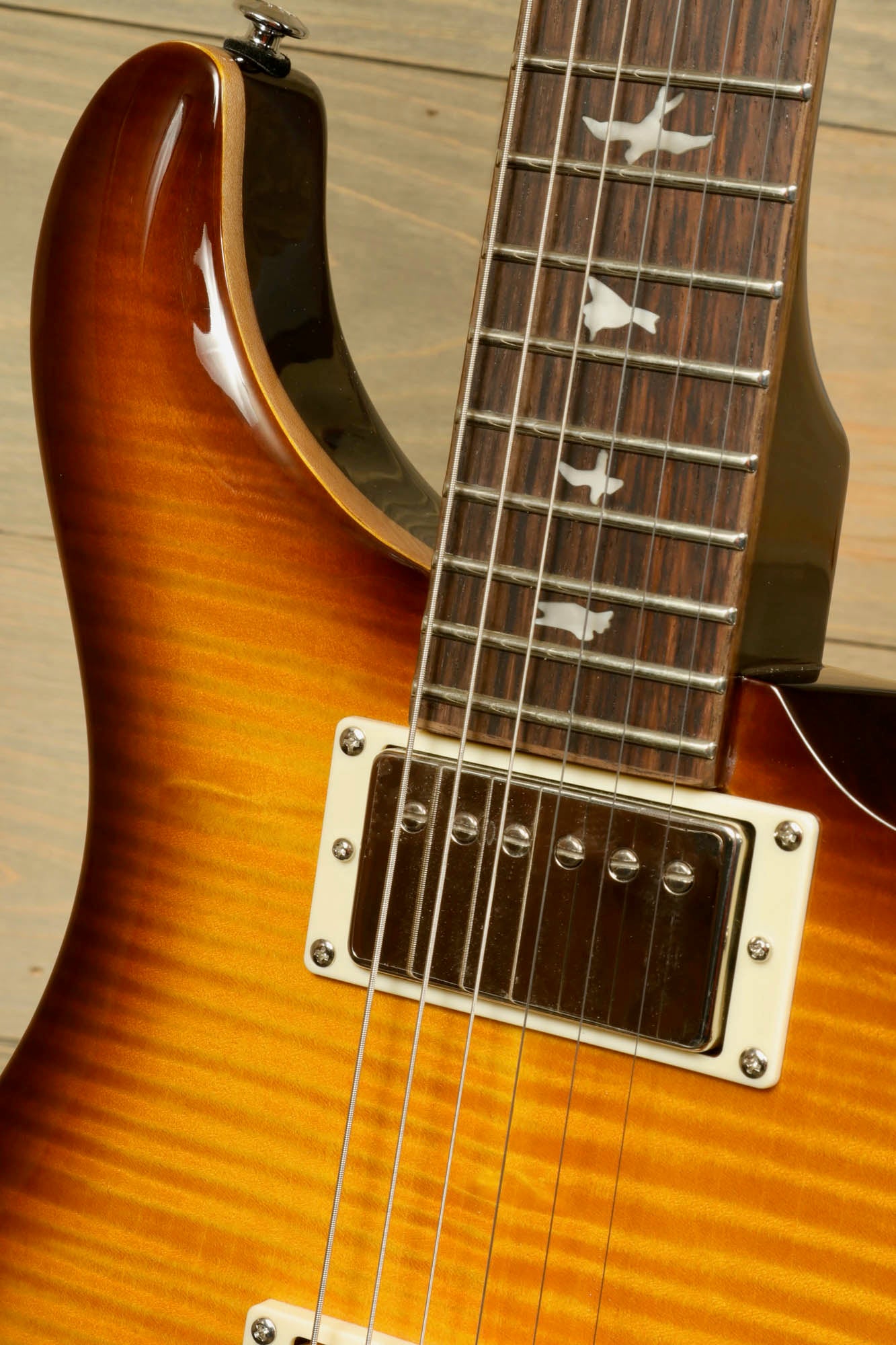 PRS SE DGT [BIRDS]