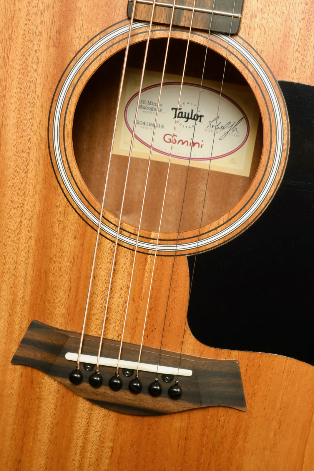 Taylor GS Mini-e Mahogany