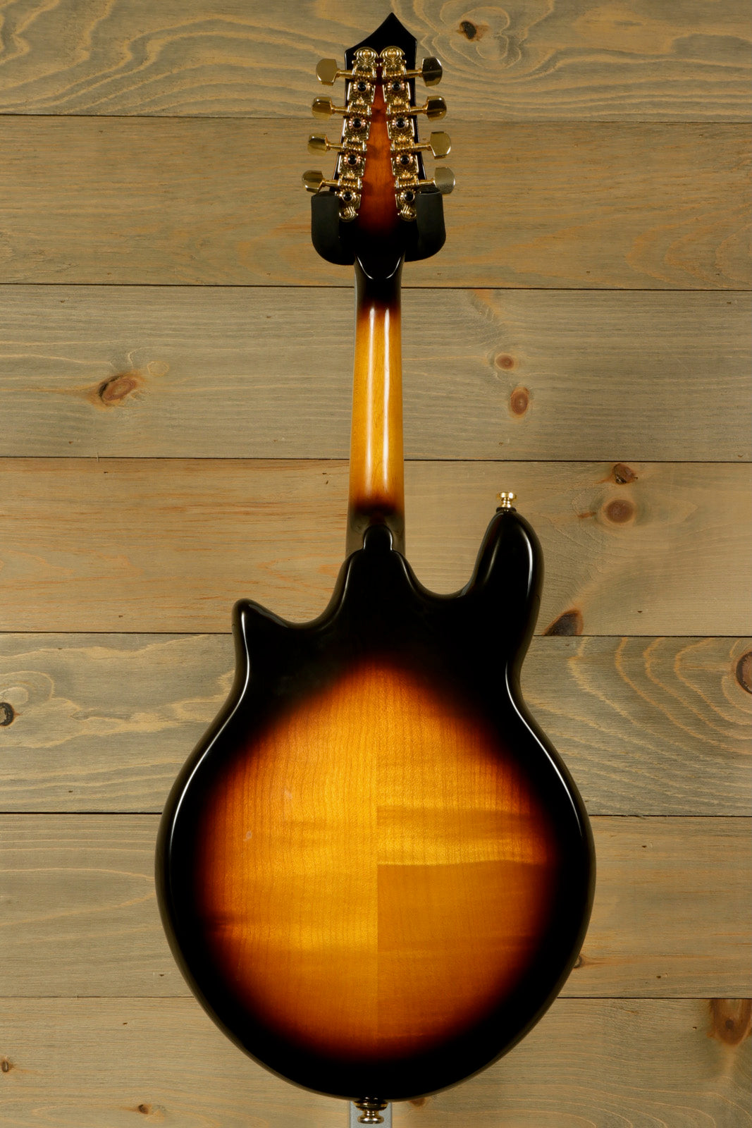 Gold Tone Rigel Mandolin with Goldtone Gig Bag (USED)