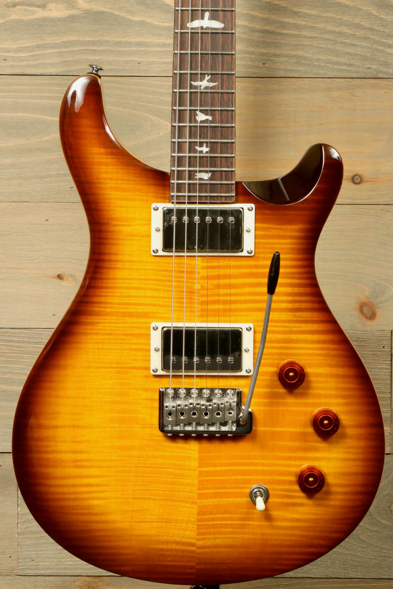 PRS SE DGT [BIRDS]