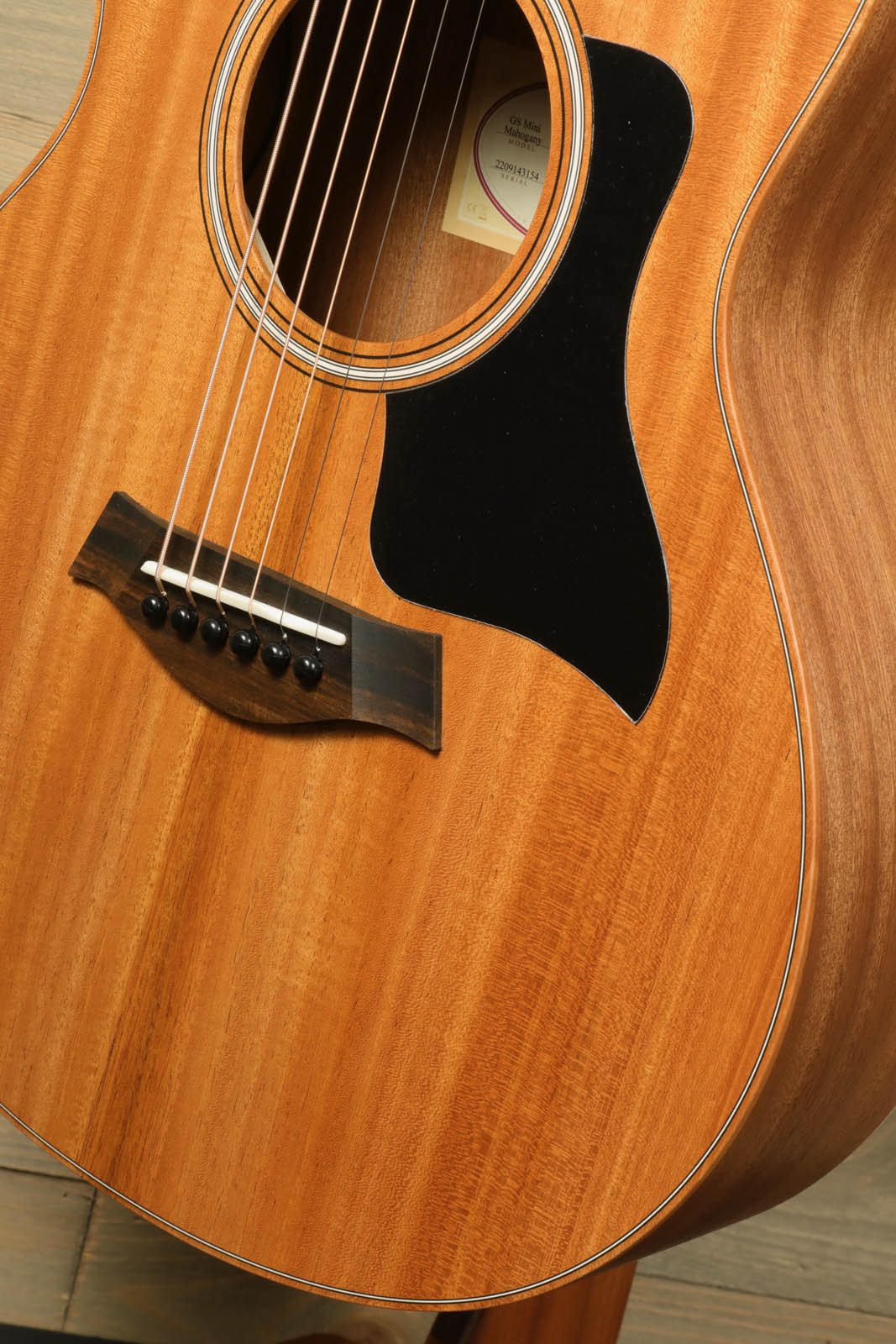 Taylor GS Mini Mahogany