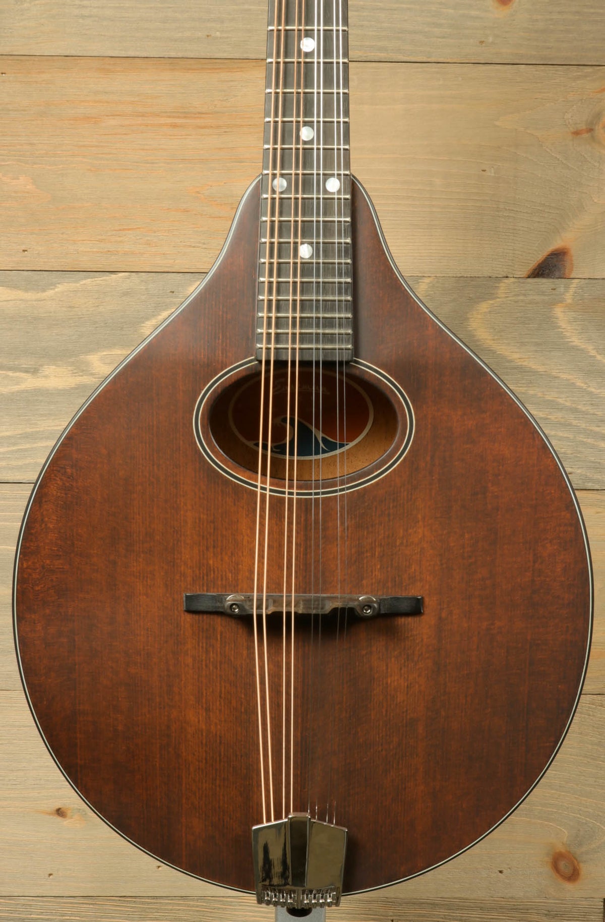Eastman PCH-M104