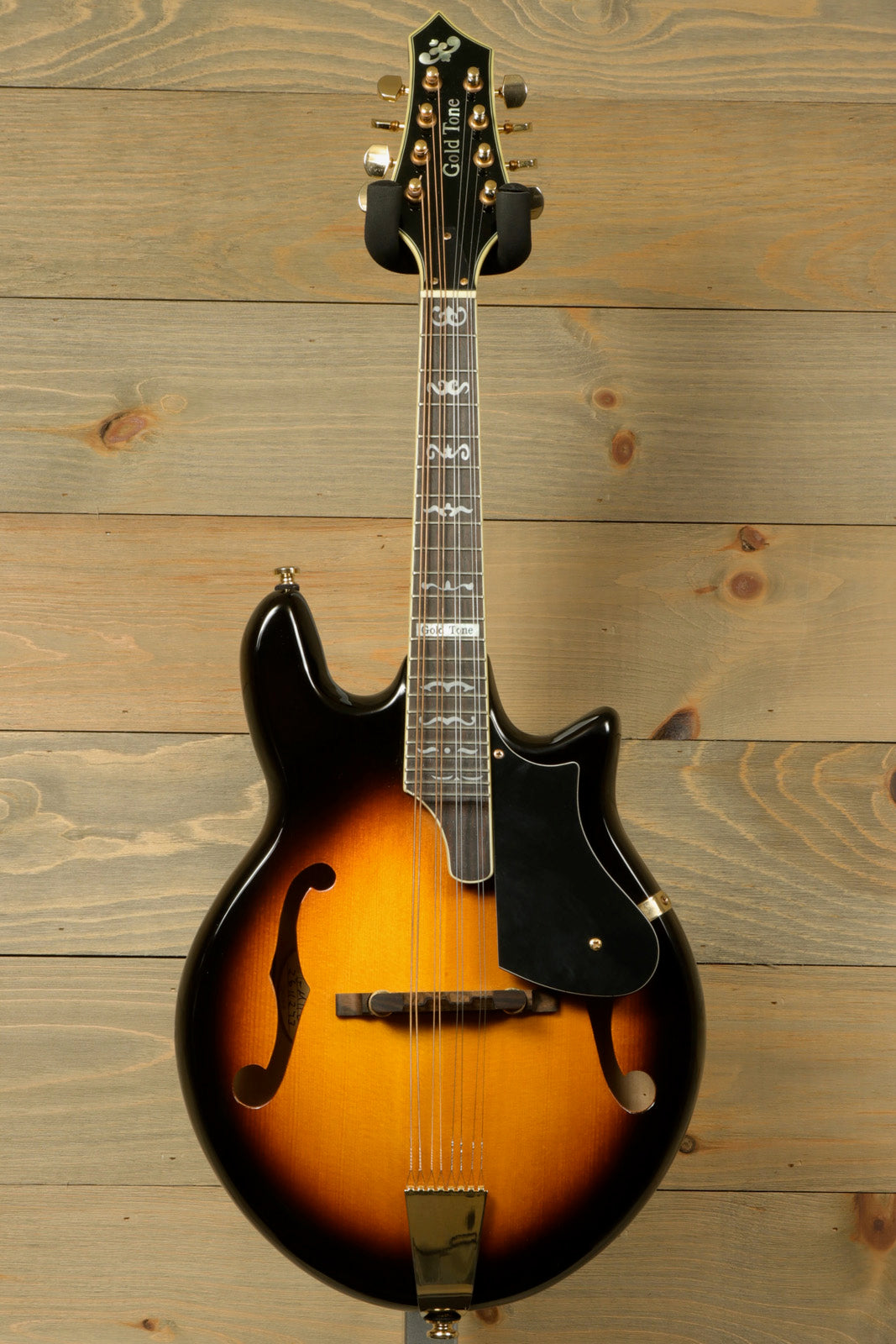 Gold Tone Rigel Mandolin with Goldtone Gig Bag (USED)