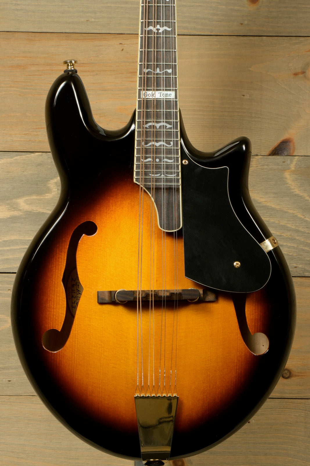 Gold Tone Rigel Mandolin with Goldtone Gig Bag (USED)