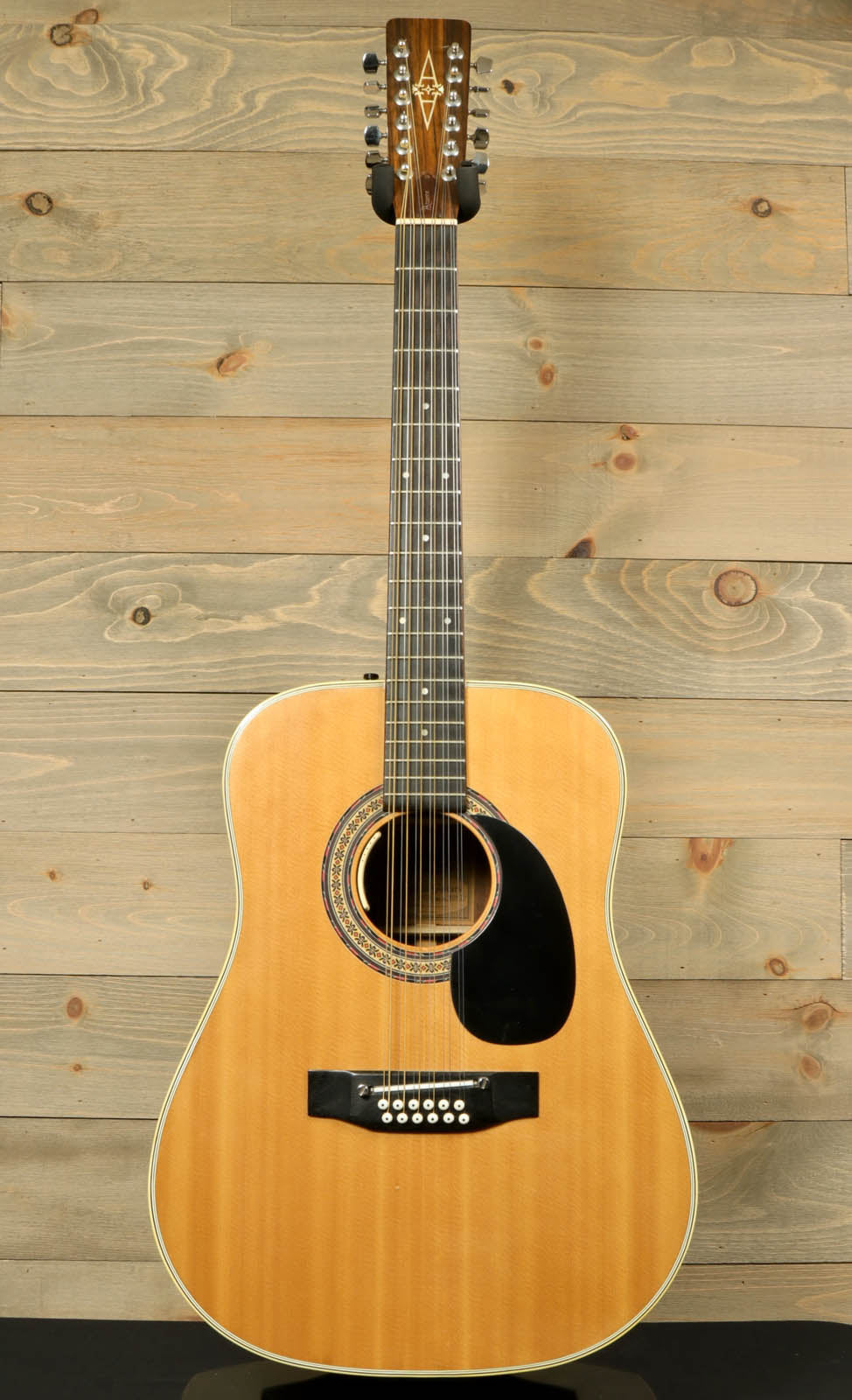 Alvarez 5054 12 String Acoustic LR Baggs Anthem with Hard Shell Case (USED) Alvarez