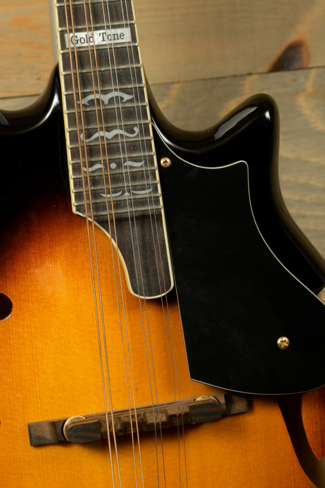 Gold Tone Rigel Mandolin with Goldtone Gig Bag (USED)