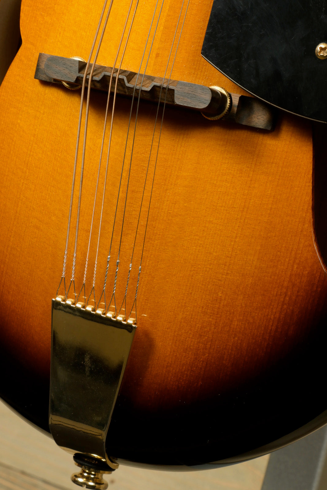 Gold Tone Rigel Mandolin with Goldtone Gig Bag (USED)