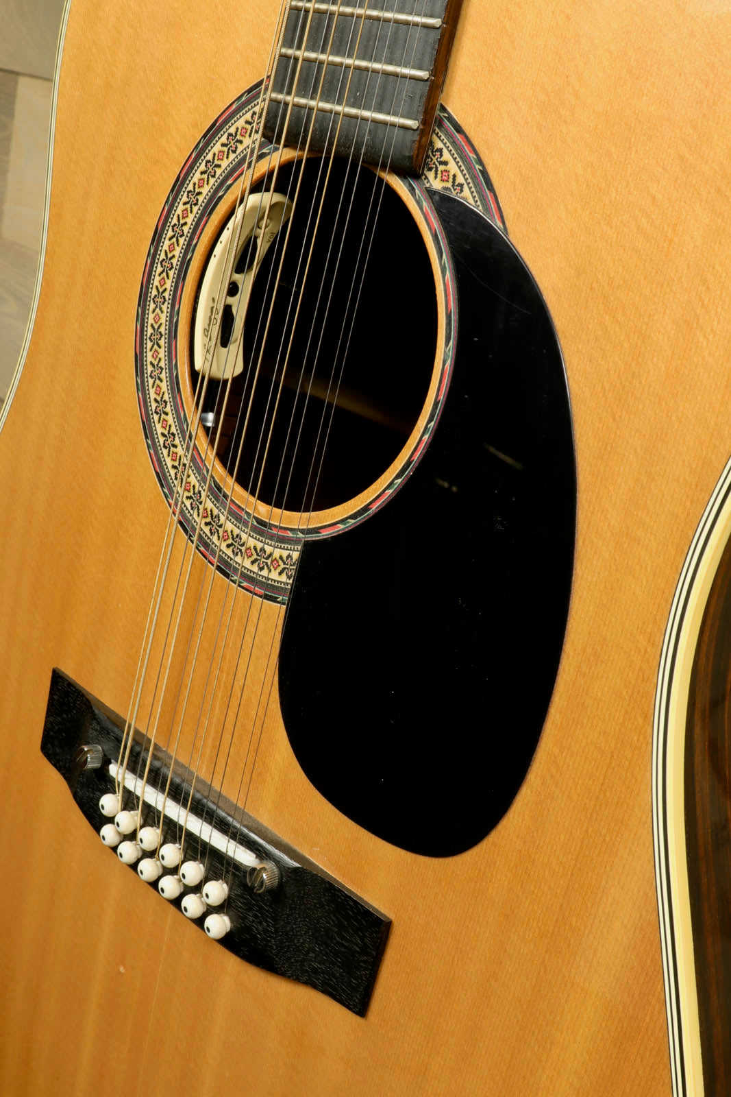 Alvarez 5054 12 String Acoustic LR Baggs Anthem with Hard Shell Case (USED) Alvarez