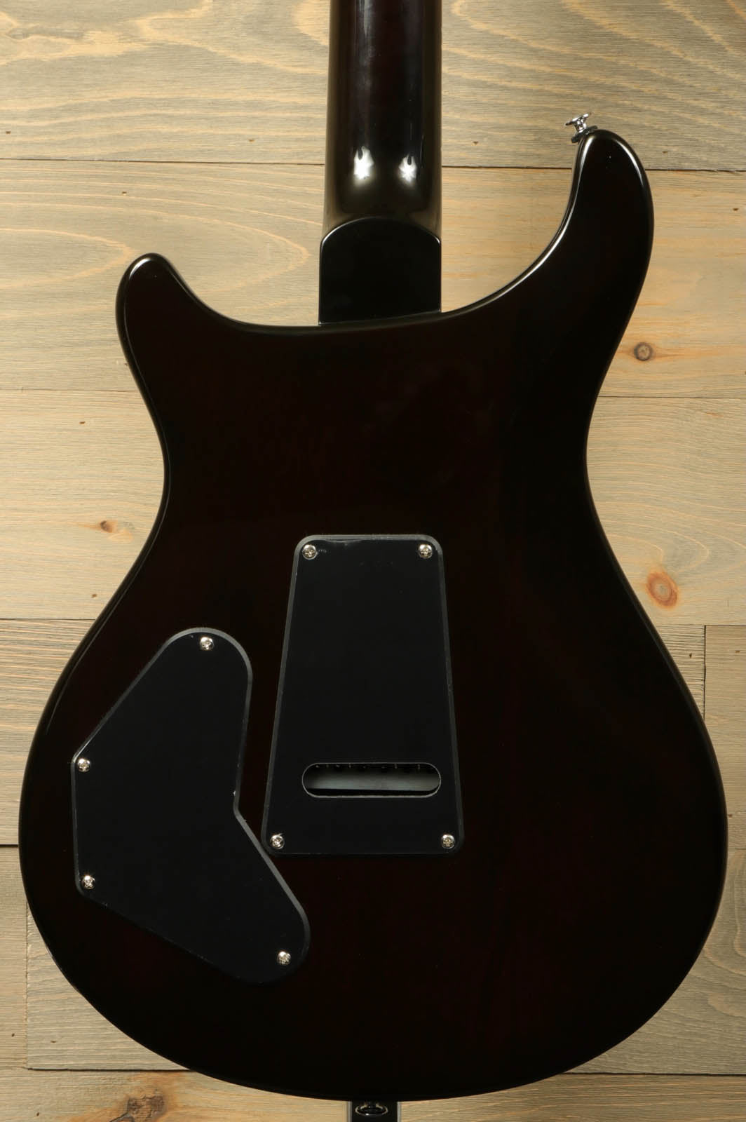 Paul Reed Smith SE DGT [BIRDS]