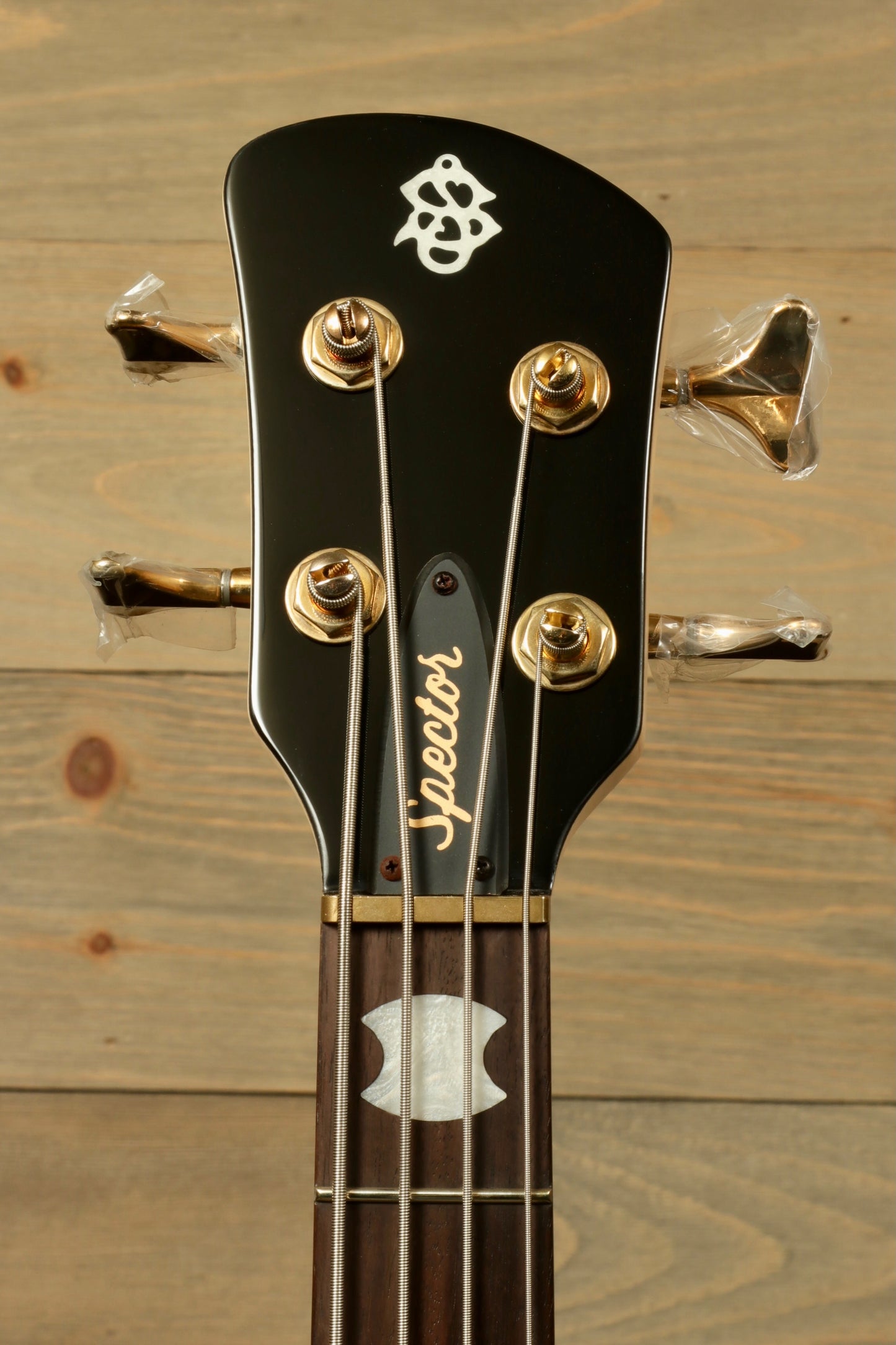 Close-up of the Spector ICON NS-2 bass guitar headstock with gold tuning pegs