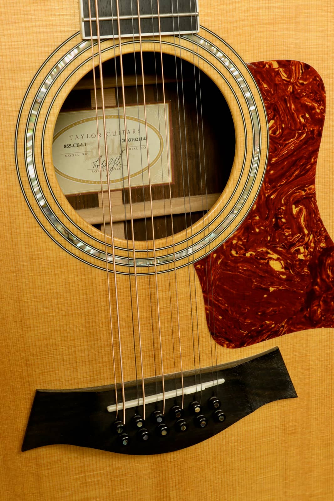 Taylor 2003 Taylor 855-CE L1 Brazilian Rosewood acoustic electric guitar close-up, used, excellent condition
