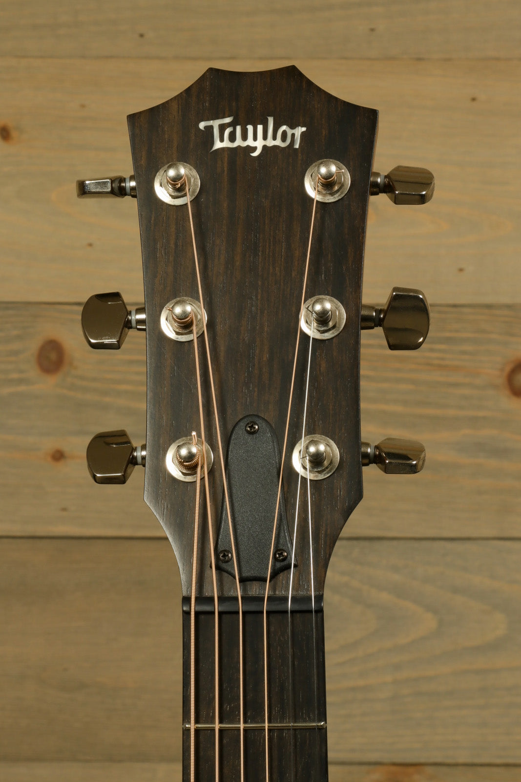 Taylor AD27e with Aerocase, headstock view showing tuning pegs and brand logo