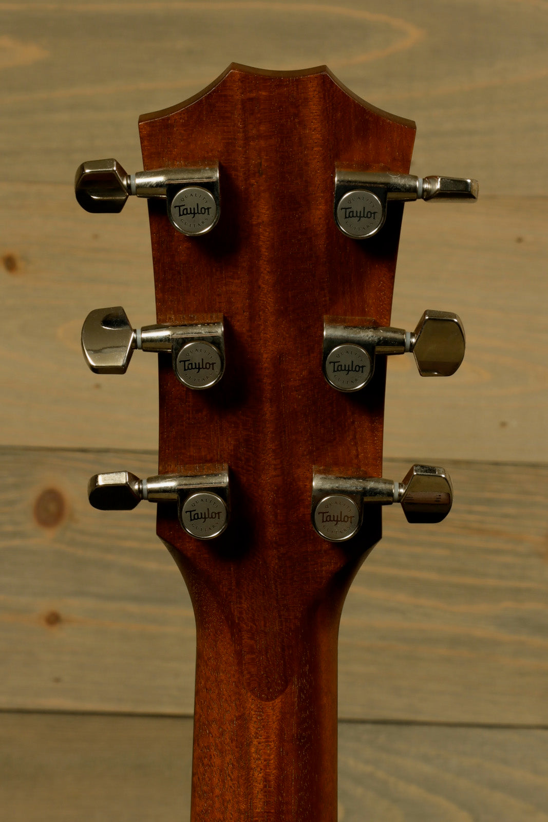 Taylor AD27e with Aerocase, back view showing tuning pegs and mahogany neck.