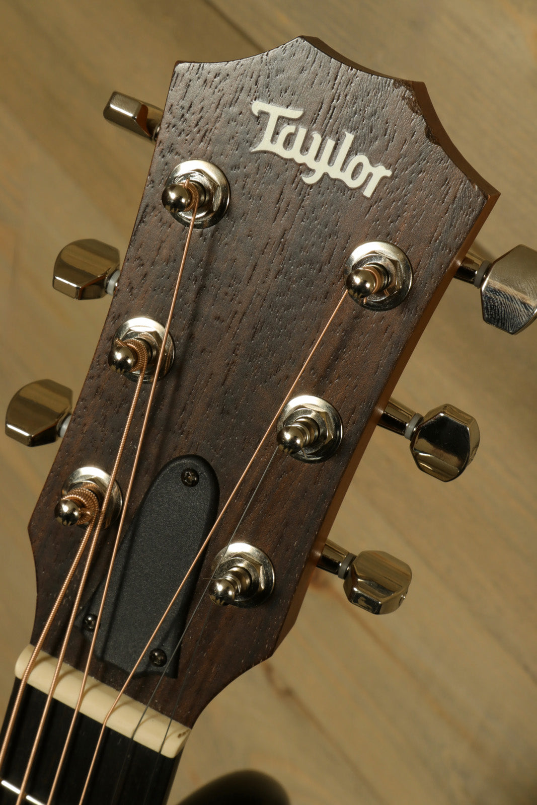 Taylor GS Mini-e Koa acoustic electric guitar headstock showing tuners and logo, close-up view