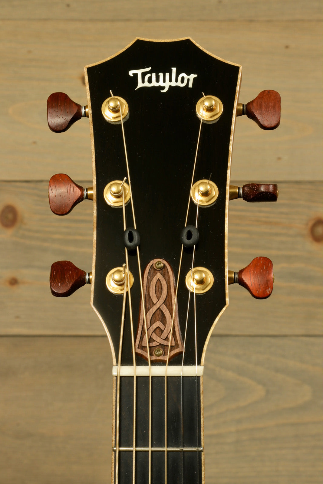 Used Taylor Cocobolo GA LTD guitar showcasing an elegant headstock design and tuning pegs