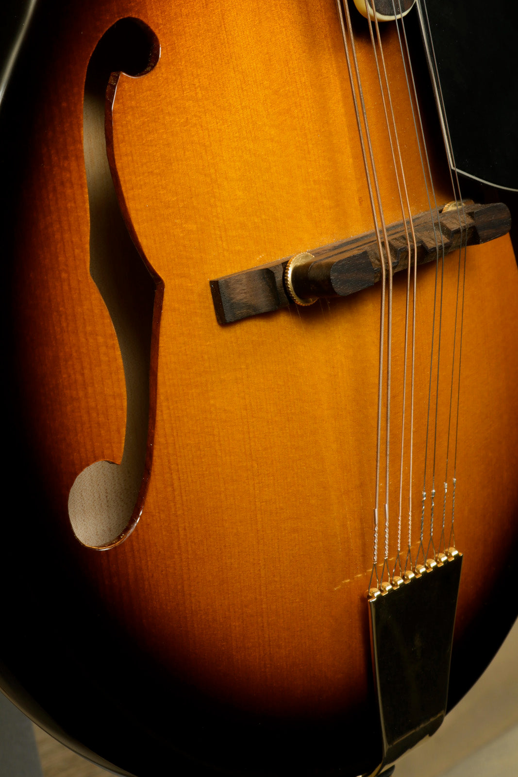 Gold Tone Rigel Mandolin with Goldtone Gig Bag (USED)