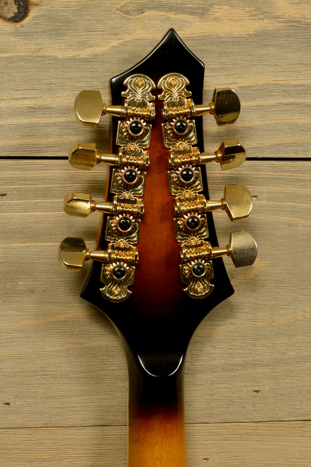 Gold Tone Rigel Mandolin with Goldtone Gig Bag (USED)