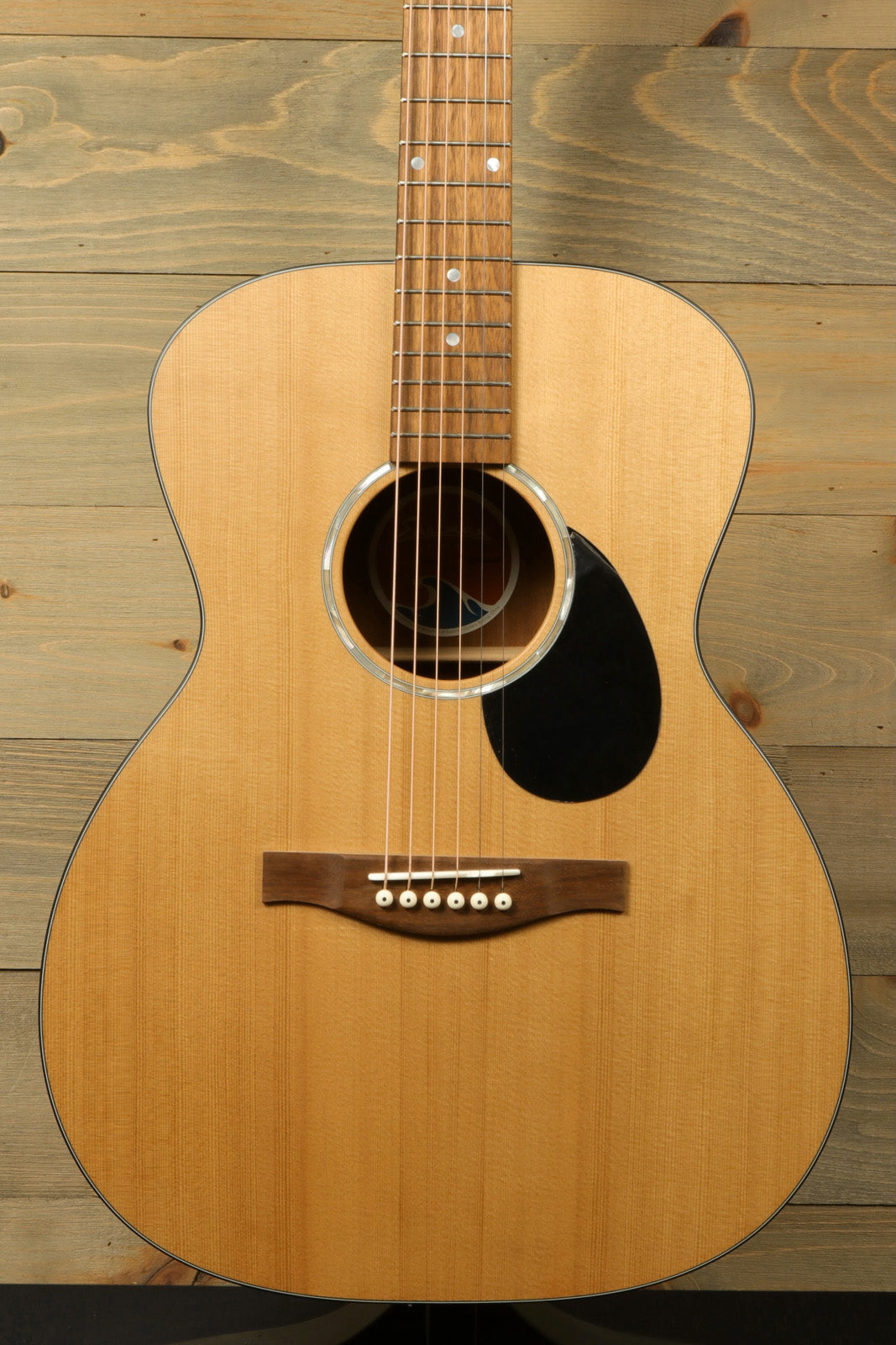 Eastman PCH1-OM Eastman