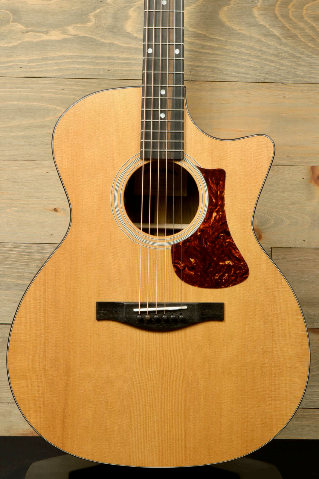 Eastman AC222CE