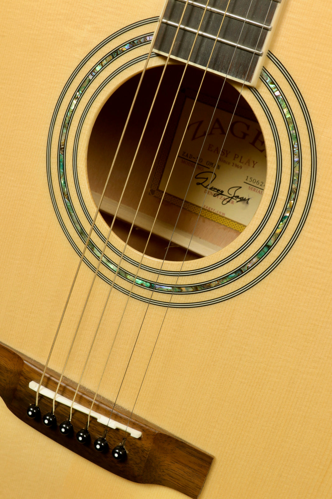 Zager ZAD-50 OM/N Acoustic Electric Guitar with Hardshell Case, featuring detailed rosette and high-quality strings