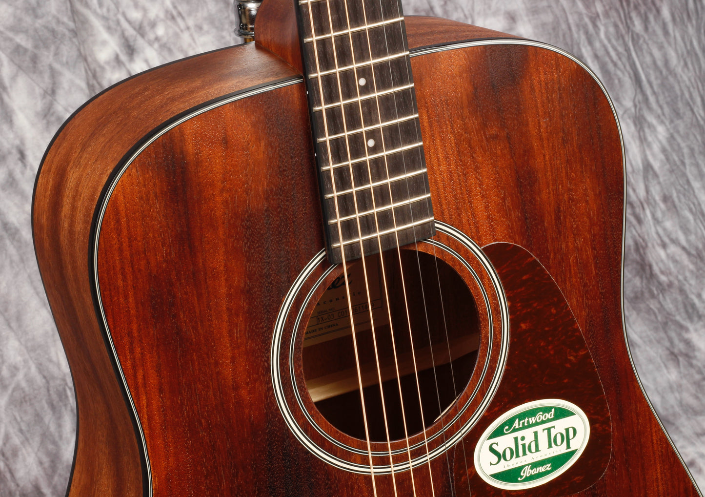Ibanez Artwood Series ACS Guitar.