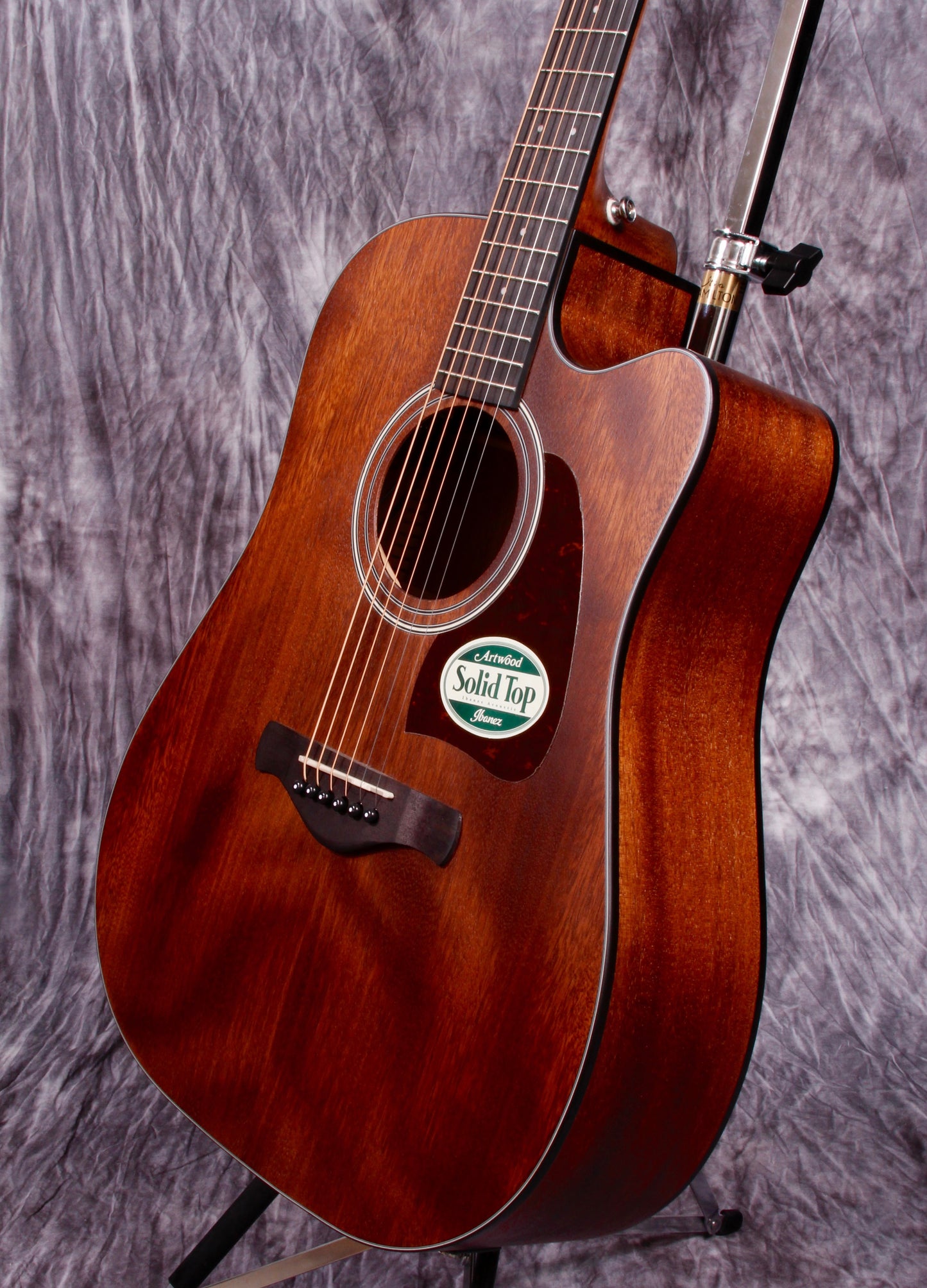 Ibanez Artwood Series ACS Electric/Acoustic Guitar.