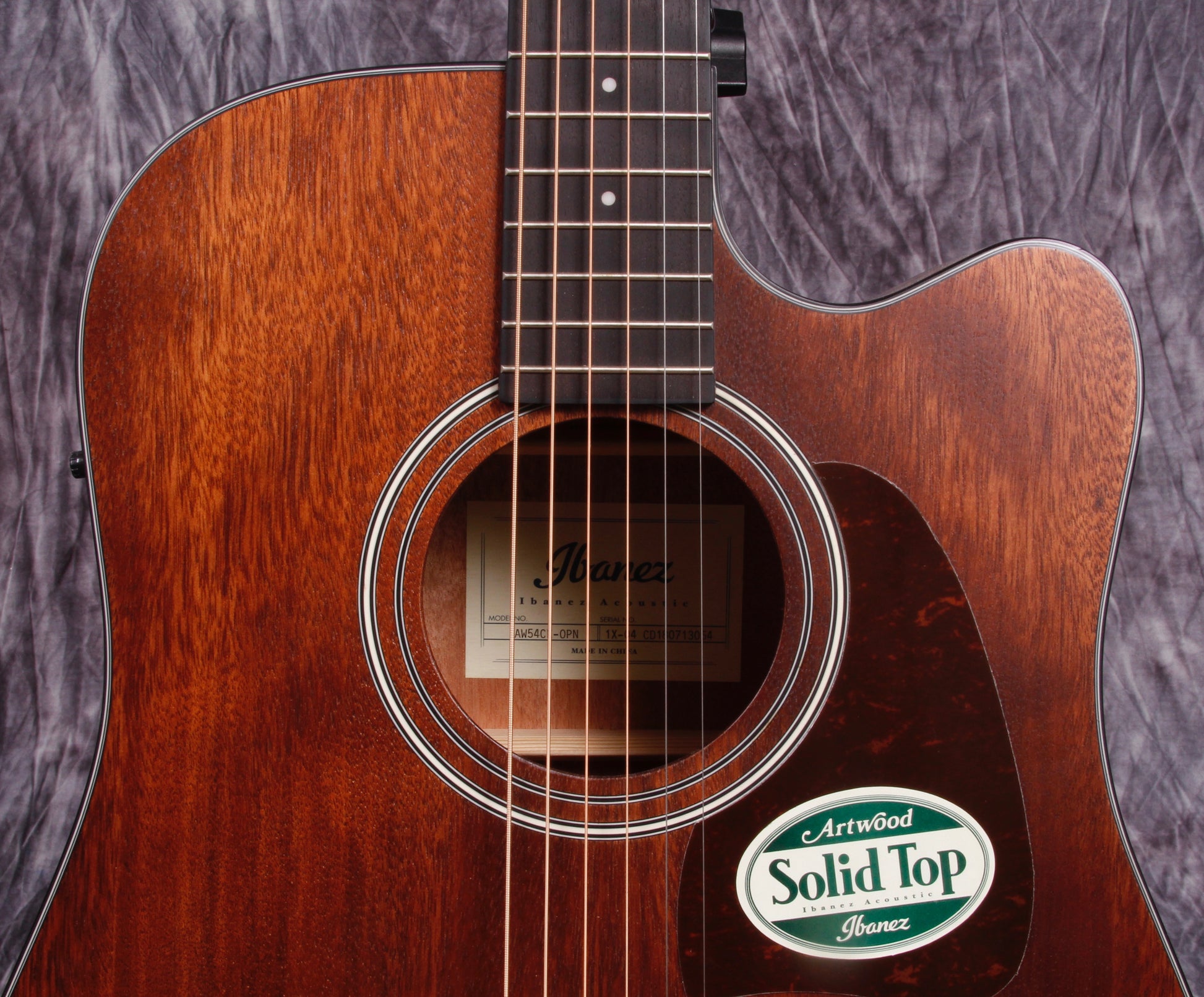 Ibanez Artwood Series ACS Electric/Acoustic Guitar.